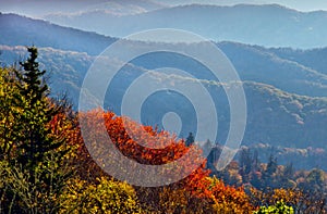 Fall overlook in The Great Smoky Mountains.