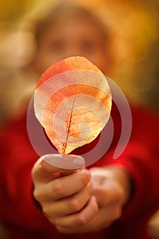 In the fall park, the boy grabbed a leaf with both hands and pulled it forward. A boy in a red suit in a park in the fall