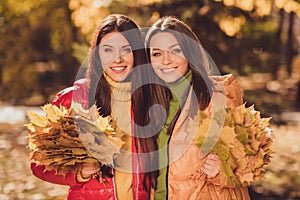 Fall park relax free time concept. Two girls best fellows look good mood in camera collect hold maple leaves wear season