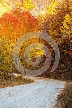 Fall path