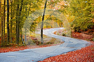 Fall path