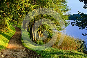 Fall path by lake