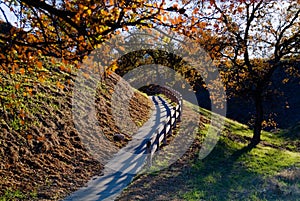 Fall pathway with wooden fence photo