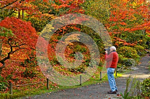 Fall Photography and Photographer photo