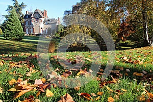 fall in a public park - rezé - france