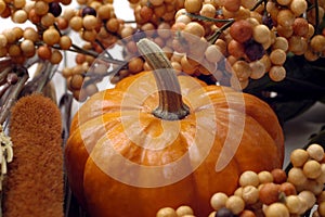Fall - Pumpkin Arrangement