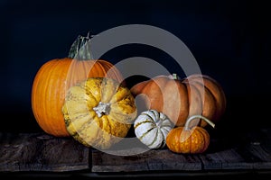 Fall Pumpkin Group