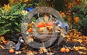 Fall Pumpkins in Wagon with Grey Squirrels and Jay photo