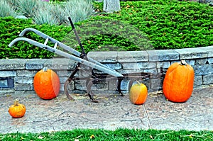 Fall punpkin display