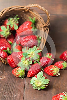 Fall put basket of strawberry on wooden table