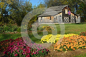 Fall Quilt Barn