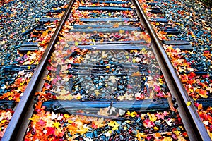 Fall Railroad