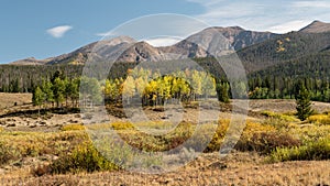 Fall in the Rawah Mountain Range of Northern Colorado. photo
