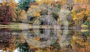 Fall Reflection 14