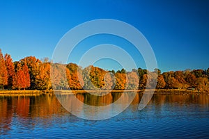 The Fall Reflection on the Lake