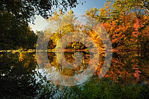 Fall reflections on a river photo