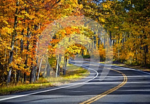 Fall road