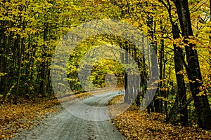 Fall road in forest of Pictured Rocks National Lakeshore Munising. Trees tunnel.