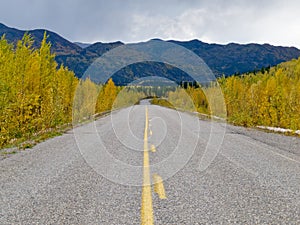 Fall at Robert Campbell Hwy Yukon Territory Canada