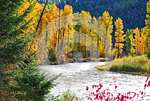 Fall on Rock Creek, Montana photo