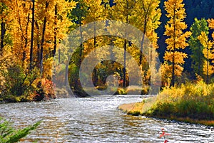 Fall on Rock Creek, Montana photo