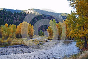 Fall on Rock Creek, Montana with Fly Fisherman