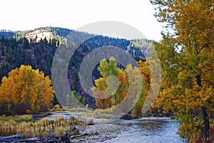 Fall on Rock Creek, Montana with Fly Fisherman