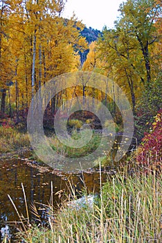 Fall on Rock Creek, Montana with Fly Fisherman