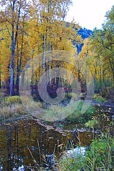 Fall on Rock Creek, Montana with Fly Fisherman