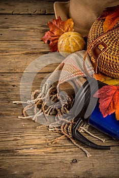 Fall rustic background