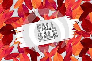 Fall sale background template with red and orange leaves. Grunge brush stroke for text.