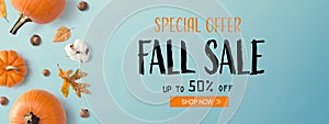 Fall sale banner with autumn pumpkins