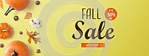 Fall sale banner with autumn pumpkins
