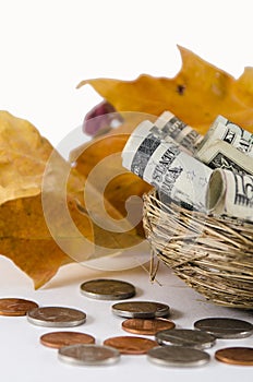 Fall Savings