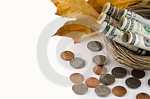 Fall Savings