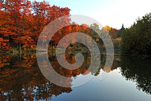 Fall Scene with Lake and Trees Autumn Reflection