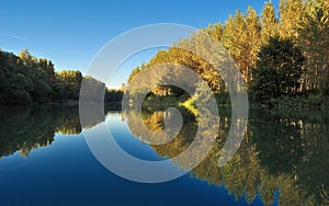 Fall Scene and Trees Autumn Reflection on Danube river