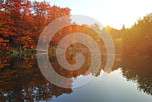 Fall color trees line with symmetrical reflection in a still and quiet lake in Autumn