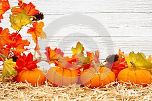 Fall scene with orange pumpkins and fall leaves on straw hay with weathered whitewash wood background