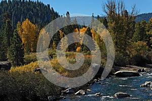 Fall scene on Truckee River