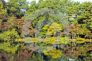 Fall scenery with colourful trees reflected in lake