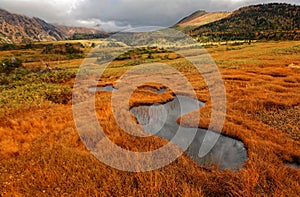 Fall scenery of grassy wetlands on Midagahara Highland in Tateyama Kurobe Alpine Route in Toyama