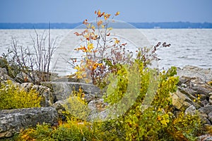 Fall Scenery at High Cliff State Park. Sherwood, WI photo