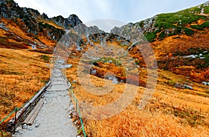 Fall scenery of a hiking path winding in Senjojiki Cirque & the grass turning into golden colors under rugged peaks of Kiso Mounta