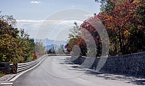 Fall scenic road with maple