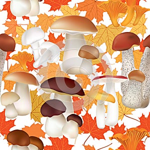 Fall seamless pattern. Mushroom isolated on white background.