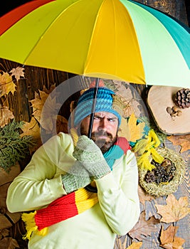 Fall season attributes. Man bearded with umbrella lay on wooden background with leaves top view. Rain metcast concept