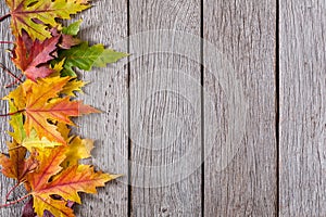 Fall season background, yellow maple leaves