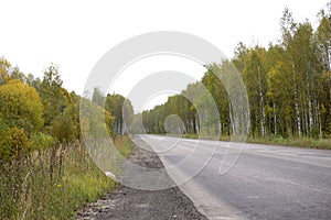 Fall season colored dirt road with beautiful birch trees at roadside .