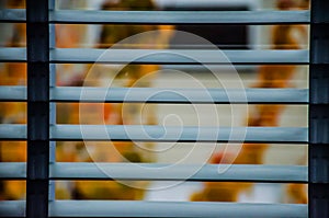 Fall season colors through the horizontal window blinds